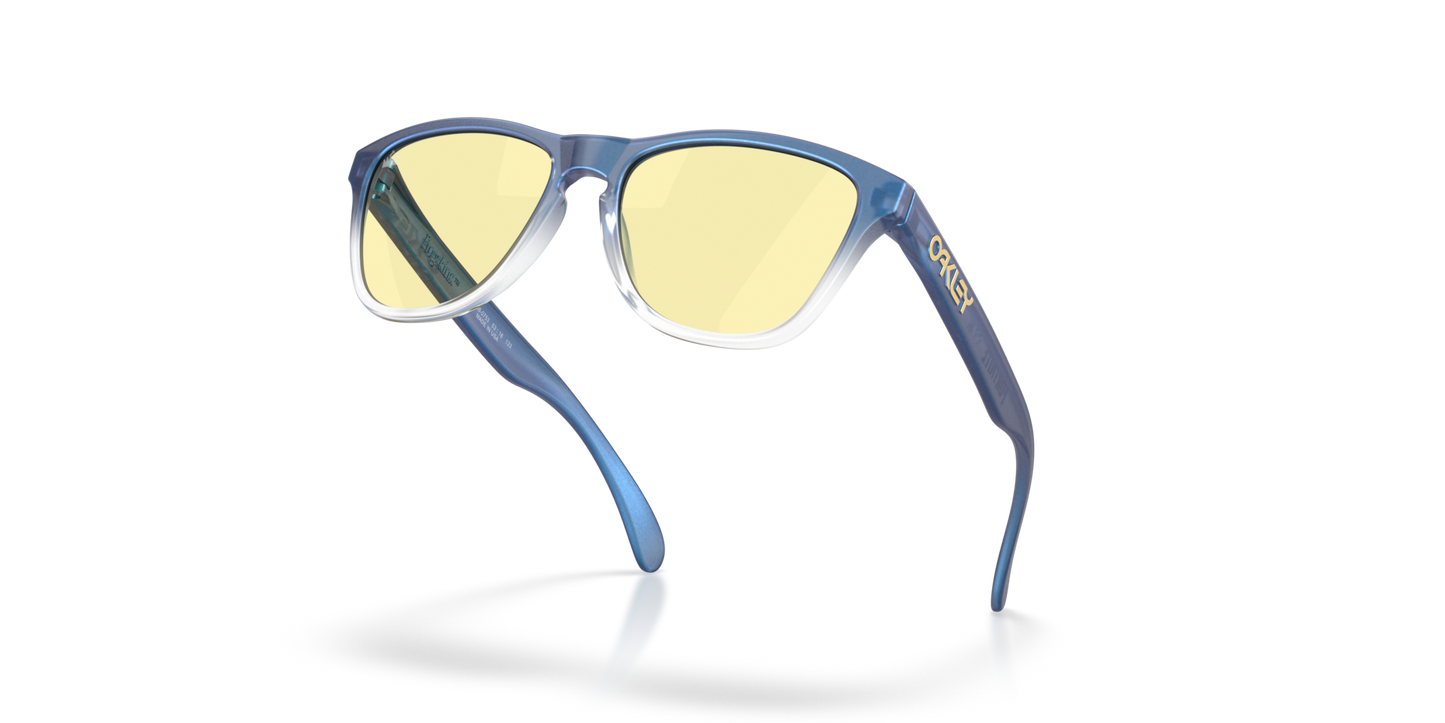 Oakley Frogskins S Glasses
