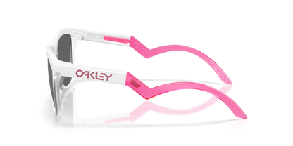 Oakley Frogskins Hybrid Glasses