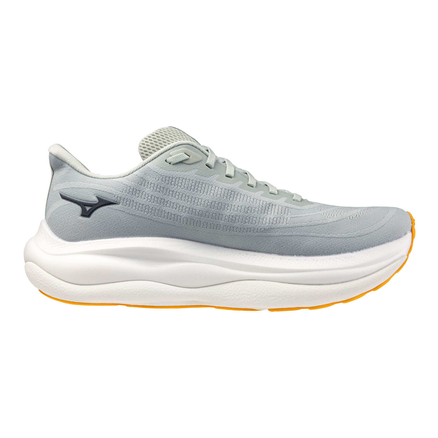 Mizuno Men's Wave Sky 9 2E Running Shoes
