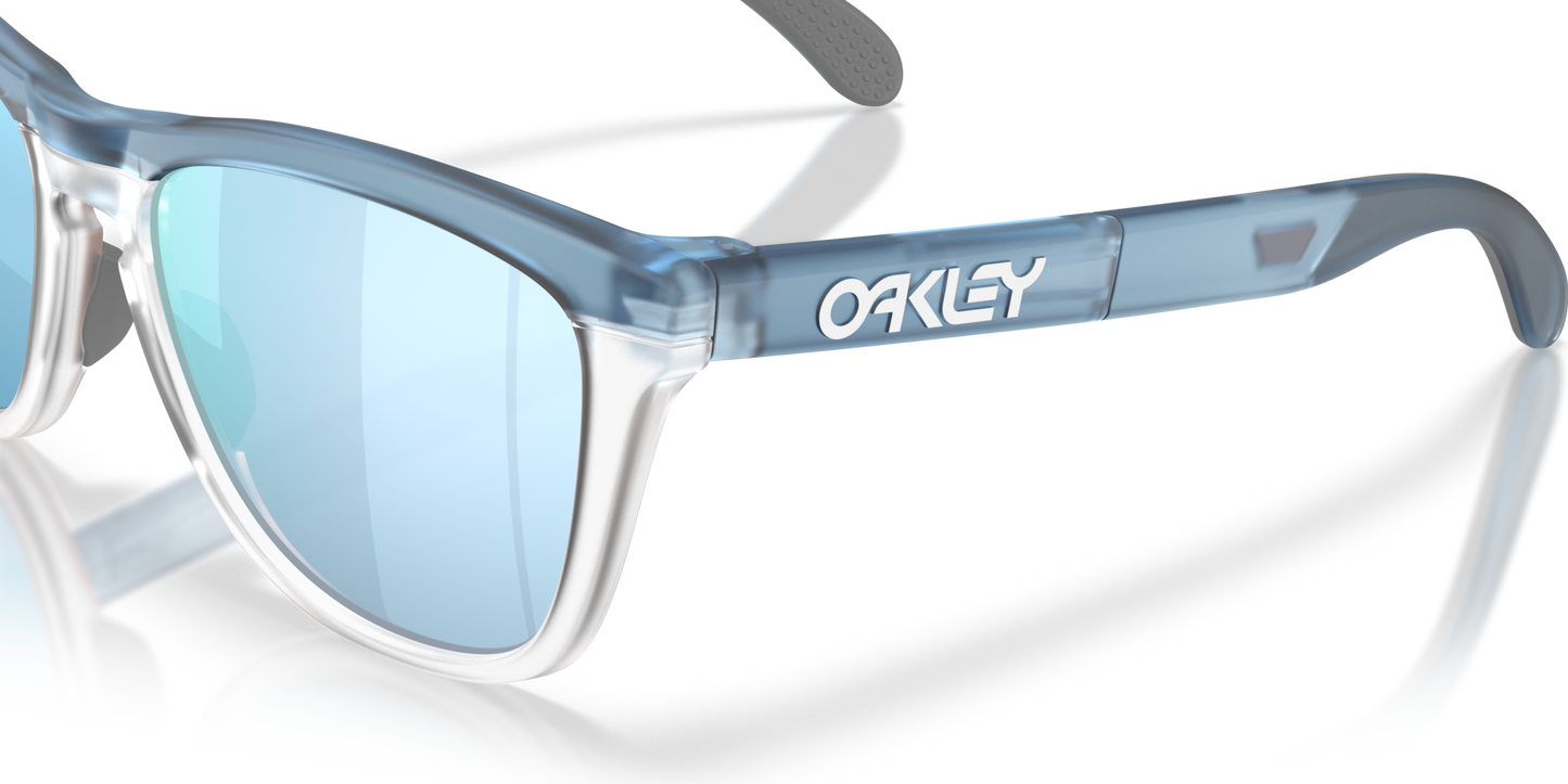 Oakley Frogskins Range XL A Glasses