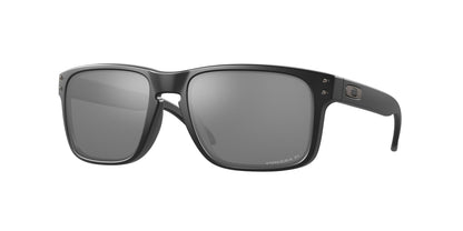 Oakley Holbrook Glasses