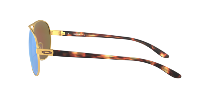 Oakley Feedback Glasses