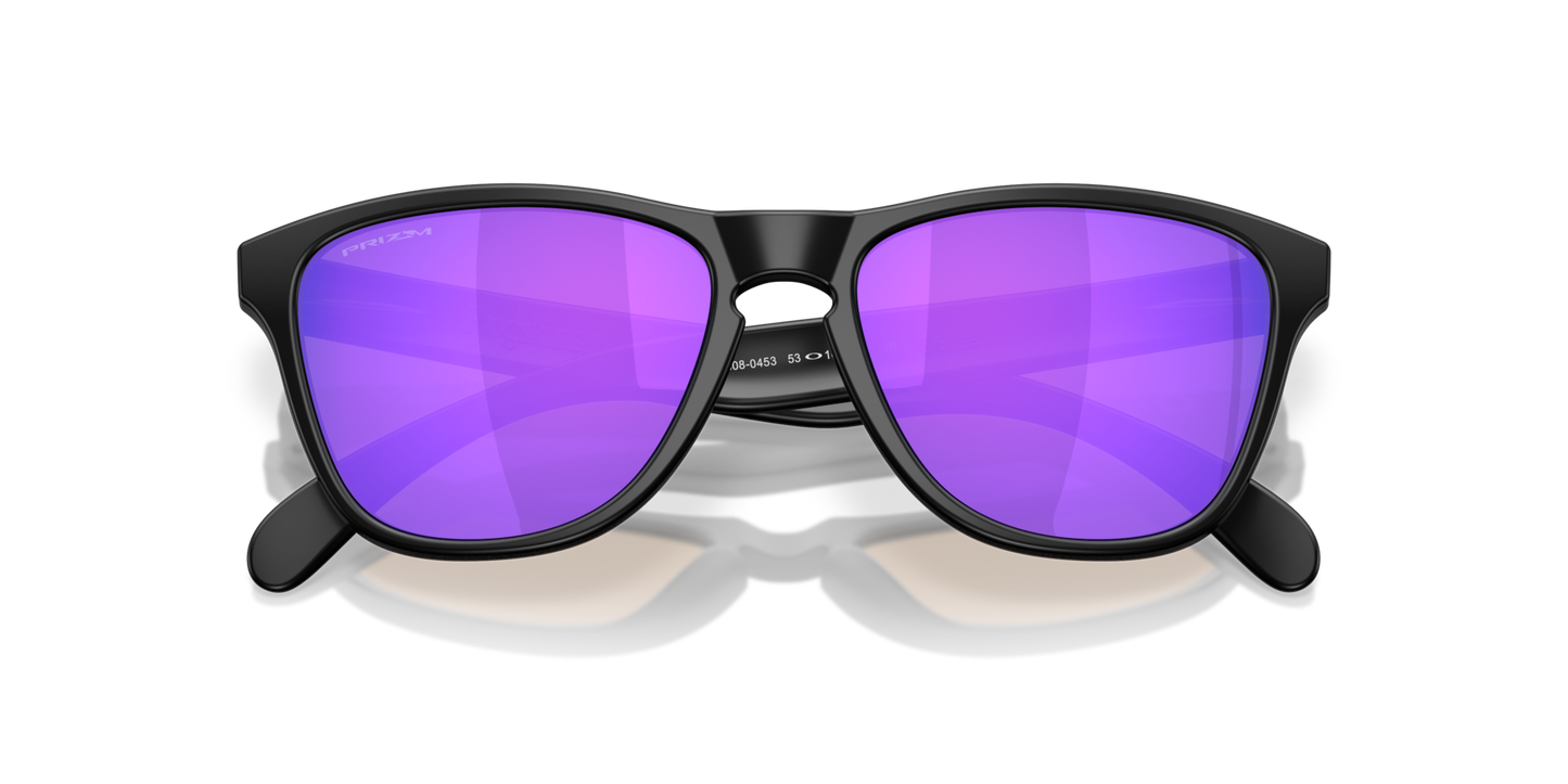 Oakley Frogskins S Glasses