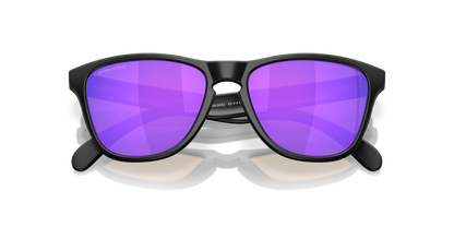 Oakley Frogskins S Glasses