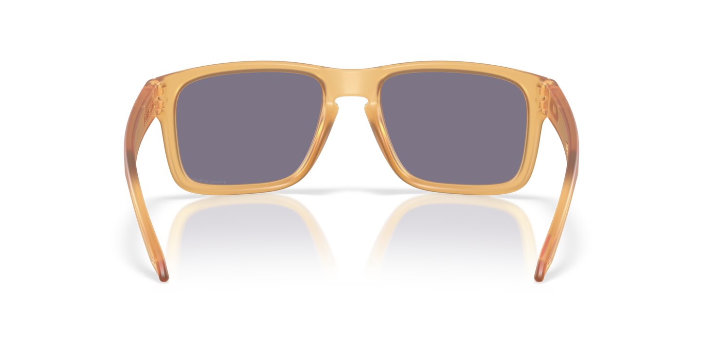 Oakley Holbrook Glasses