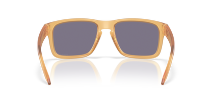 Oakley Holbrook Glasses
