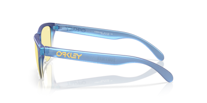 Oakley Frogskins XS Glasses