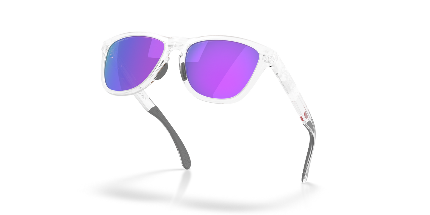 Oakley Frogskins Range XL Glasses
