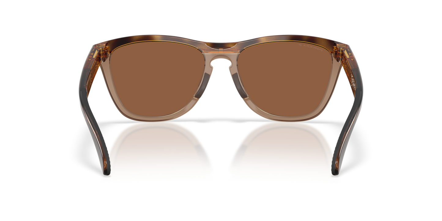 Oakley Frogskins Range XL Glasses