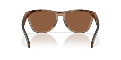 Oakley Frogskins Range XL Glasses