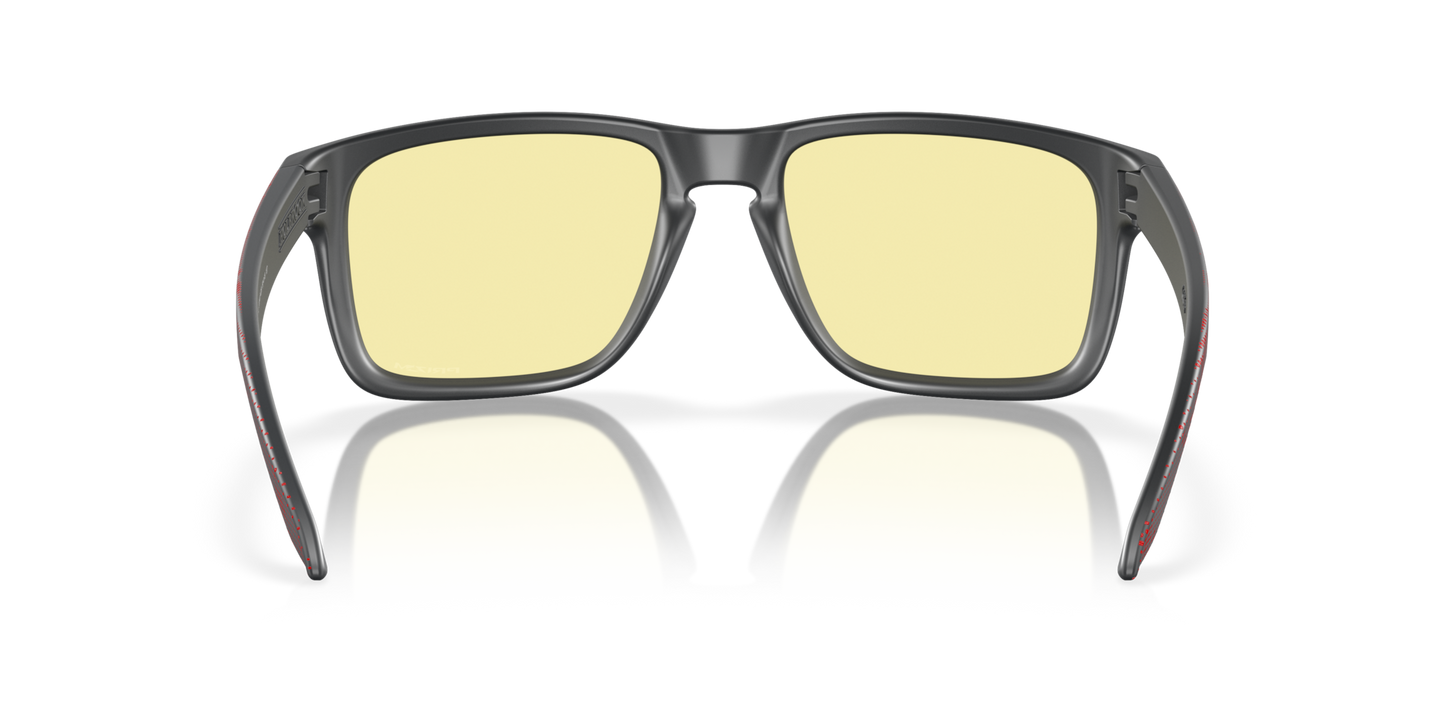 Oakley Holbrook XL Glasses