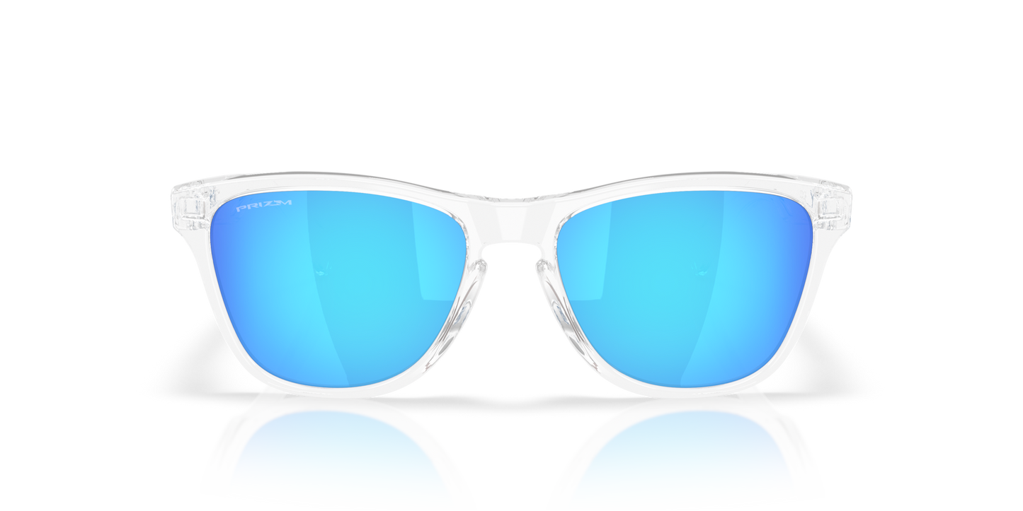 Oakley Frogskins S Glasses