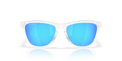 Oakley Frogskins S Glasses