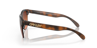 Oakley Frogskins Lite Glasses