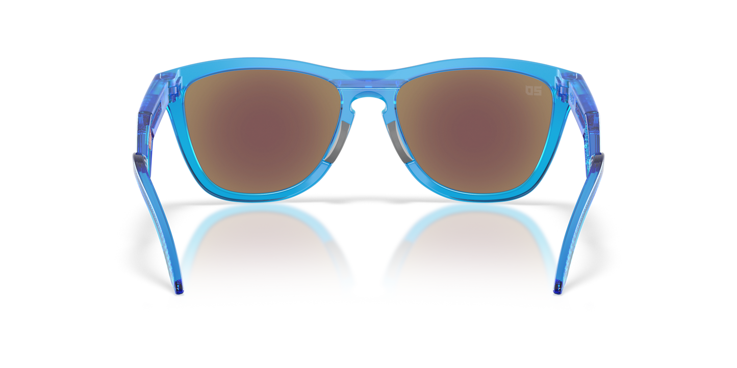 Oakley Frogskins Hybrid Glasses