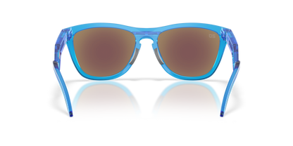 Oakley Frogskins Hybrid Glasses