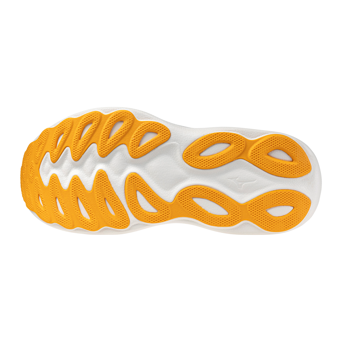 Mizuno Men's Wave Sky 9 2E Running Shoes