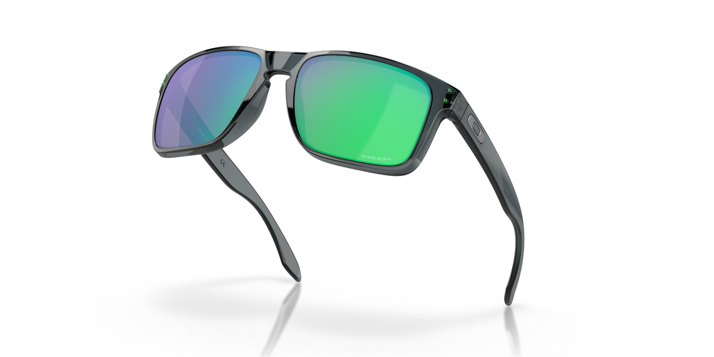 Oakley Holbrook XL Glasses