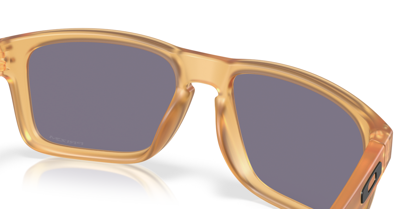 Oakley Holbrook Glasses