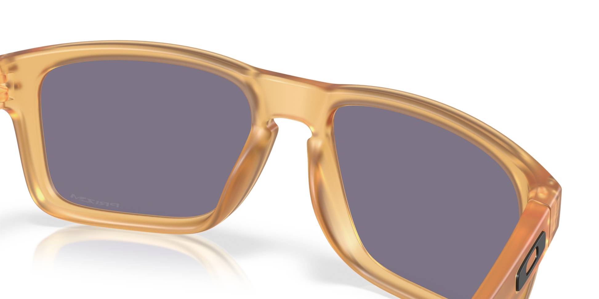 Oakley Holbrook Glasses