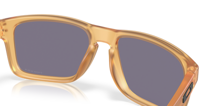 Oakley Holbrook Glasses