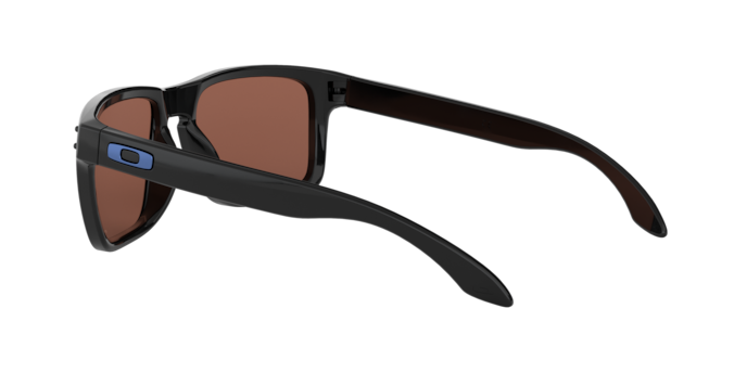 Oakley Holbrook Glasses