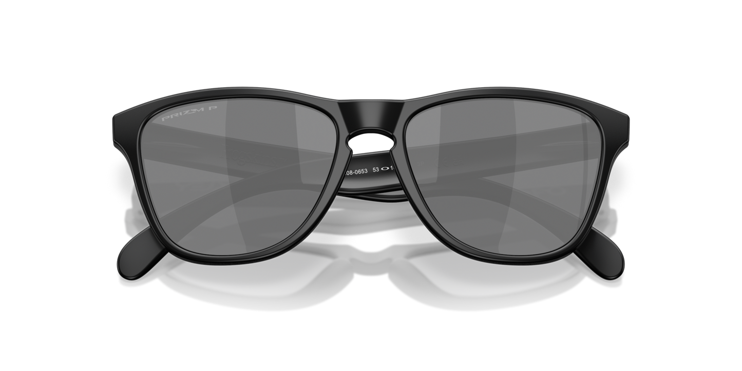 Oakley Frogskins S Glasses