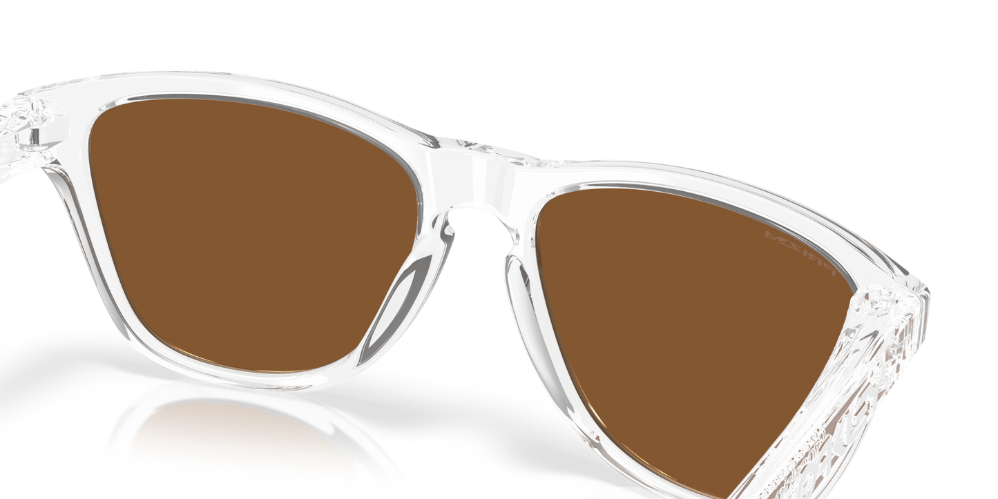 Oakley Frogskins S Glasses