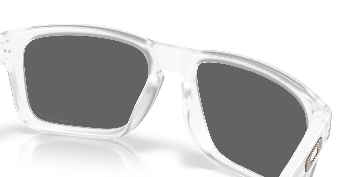 Oakley Holbrook Glasses