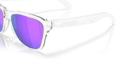 Oakley Frogskins S Glasses