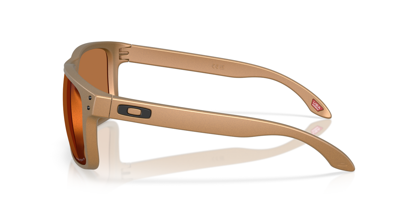 Oakley Holbrook XL Glasses