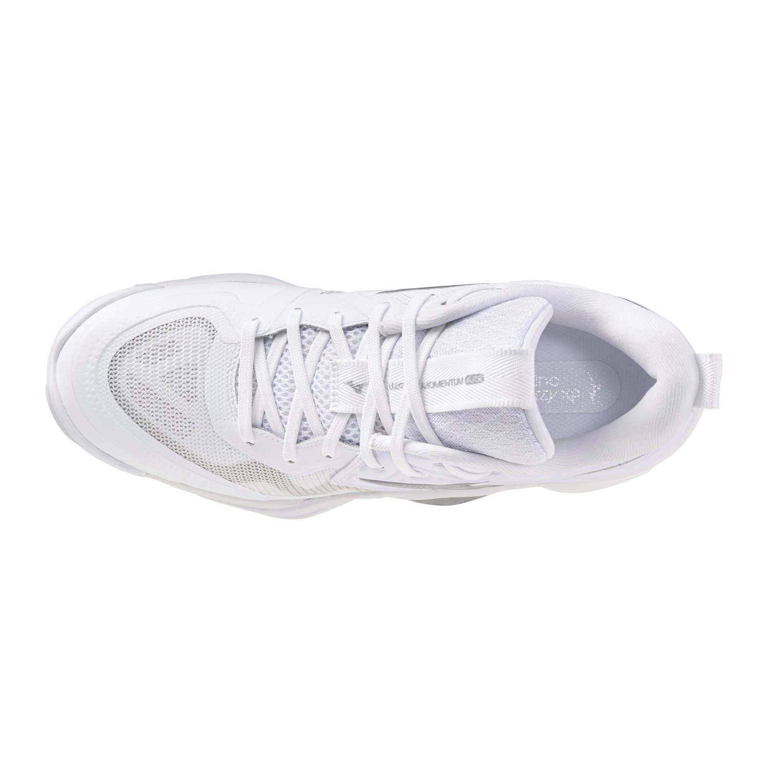 Mizuno Women's Wave Momentum 4 Elite Volleyball Shoes