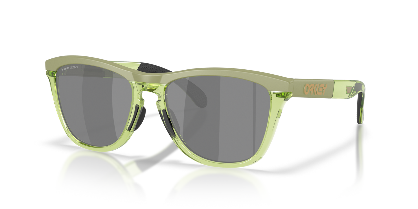 Oakley Frogskins Range XL Glasses