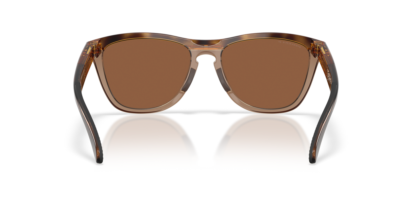 Oakley Frogskins Range XL A Glasses