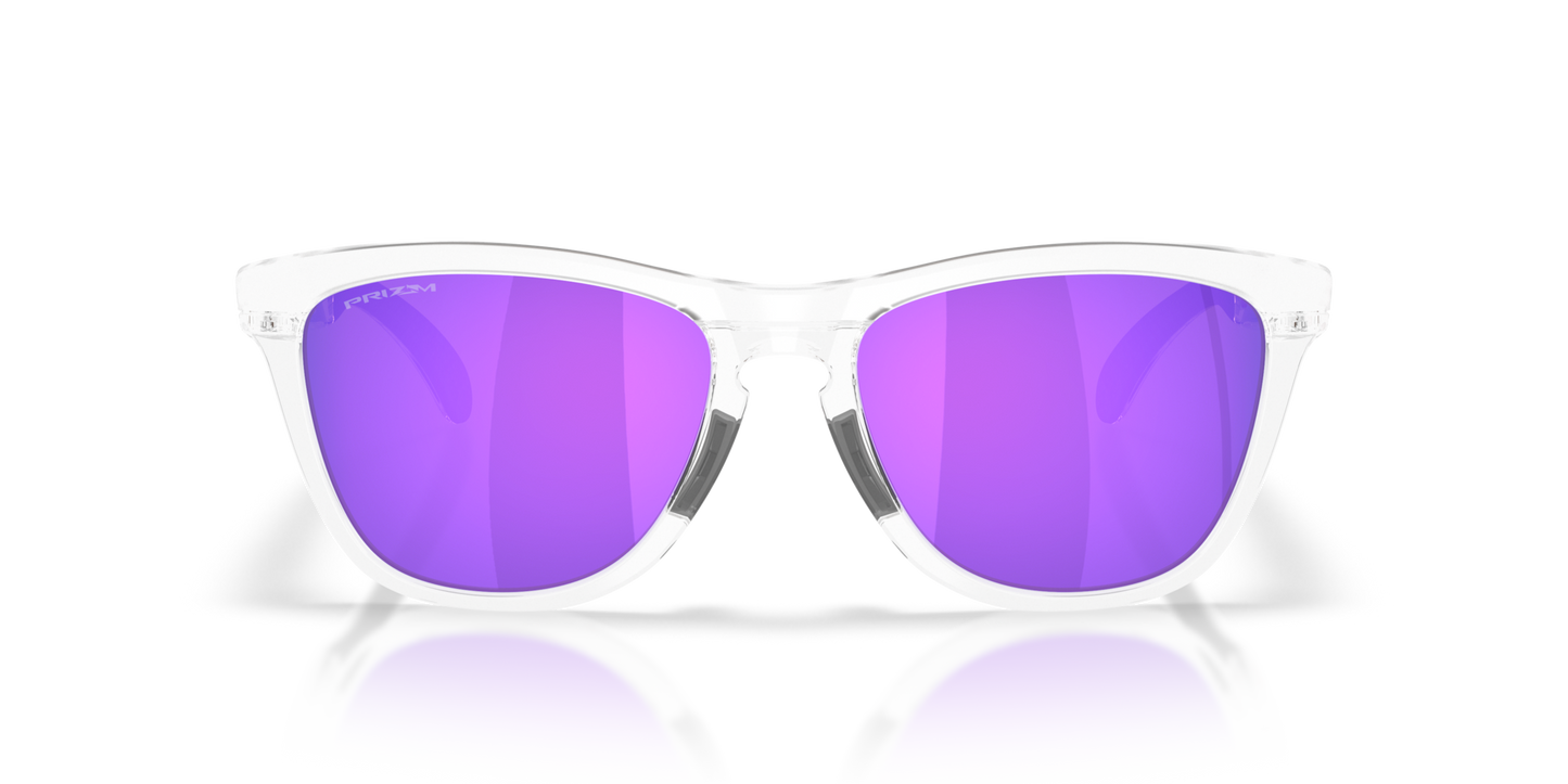 Oakley Frogskins Range XL Glasses