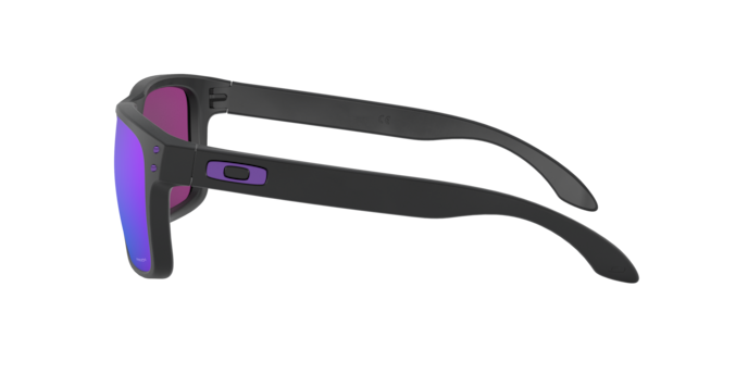 Oakley Holbrook Glasses