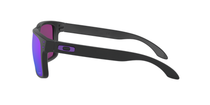 Oakley Holbrook Glasses