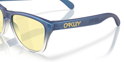 Oakley Frogskins S Glasses