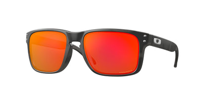 Oakley Holbrook Glasses