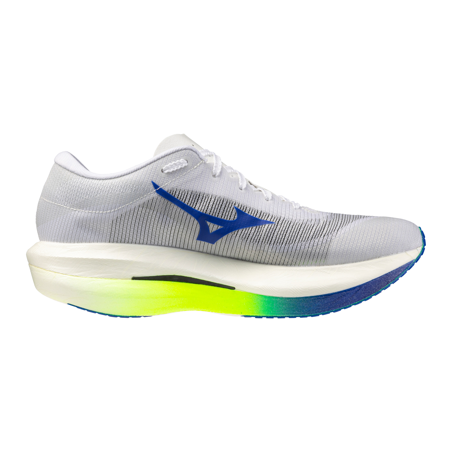 Mizuno Men's Wave Rebellion Pro 4 Sa Running Shoes