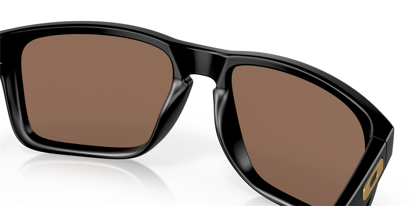 Oakley Holbrook XL Glasses