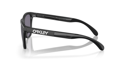 Oakley Frogskins Range Glasses