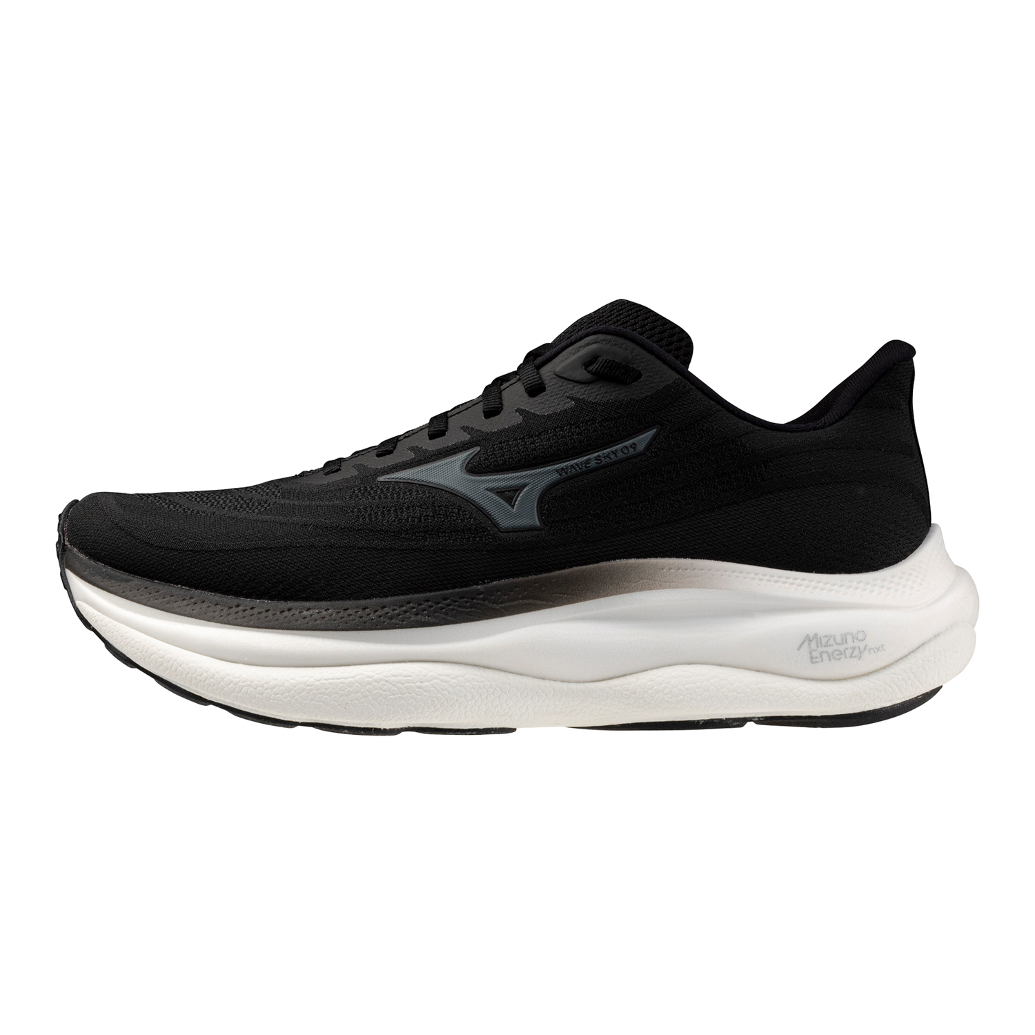 Mizuno Men's Wave Sky 9 2E Running Shoes