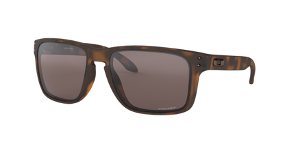 Oakley Holbrook XL Glasses
