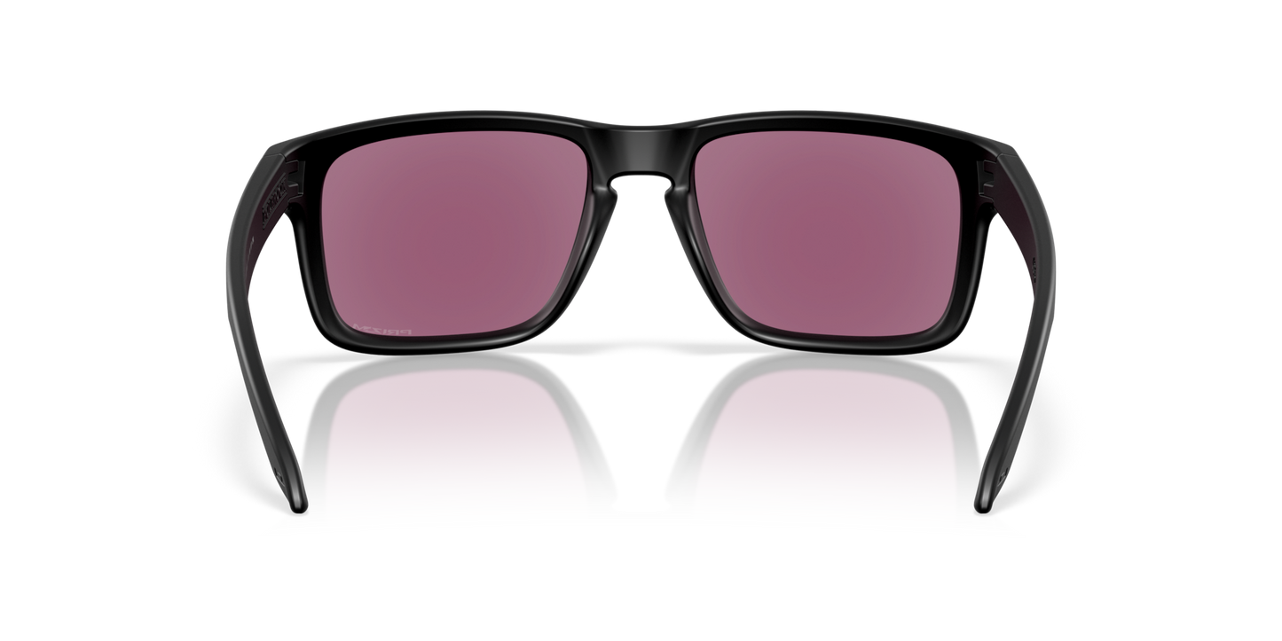 Oakley Holbrook Glasses