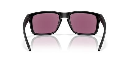 Oakley Holbrook Glasses