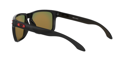 Oakley Holbrook XL Glasses