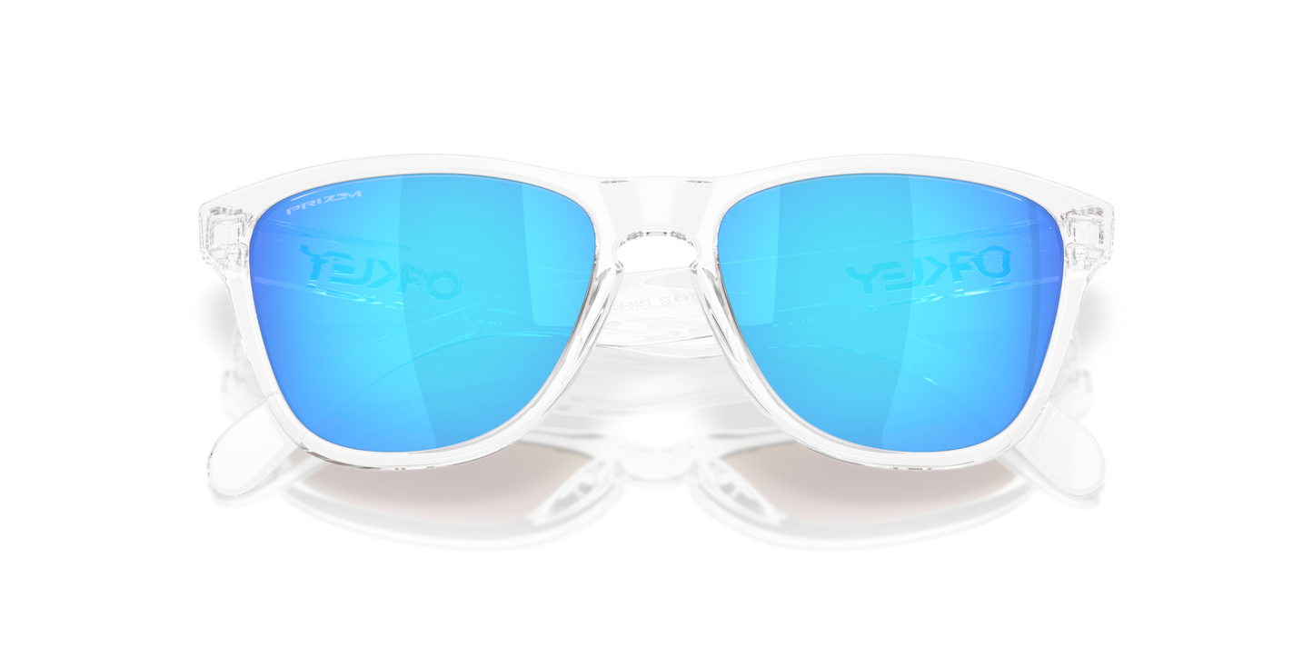 Oakley Frogskins S Glasses