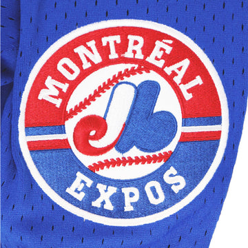 Vladimir Guerrero Sr. Montreal Expos Autographed Cooperstown Jersey