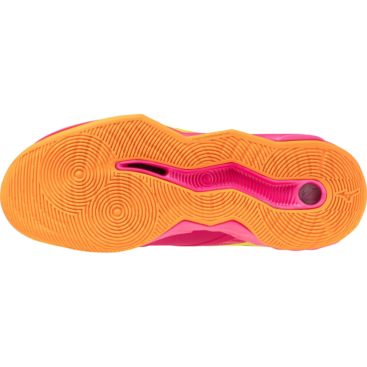Mizuno Wave Momentum 4 Pro Women's Volleyball Shoes